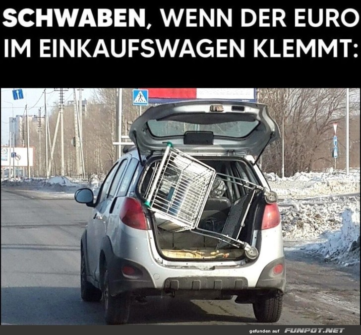 Schwbische Einkaufswagenrettung!
