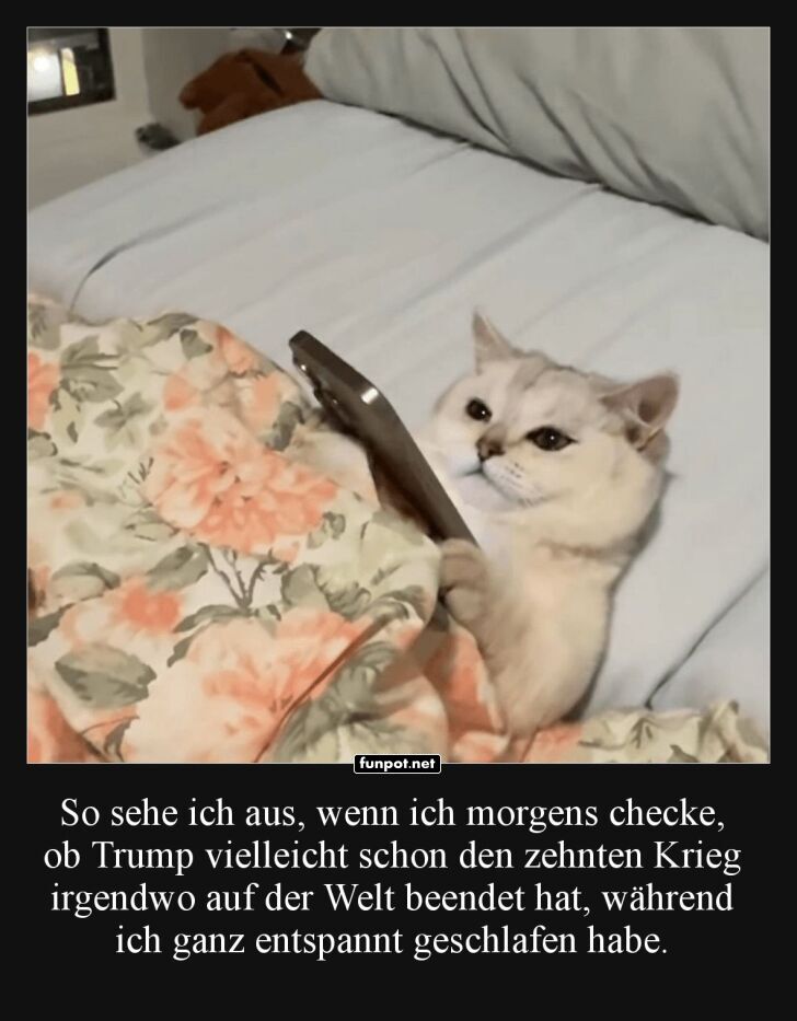 Morgendlicher Weltcheck mit Katerblick