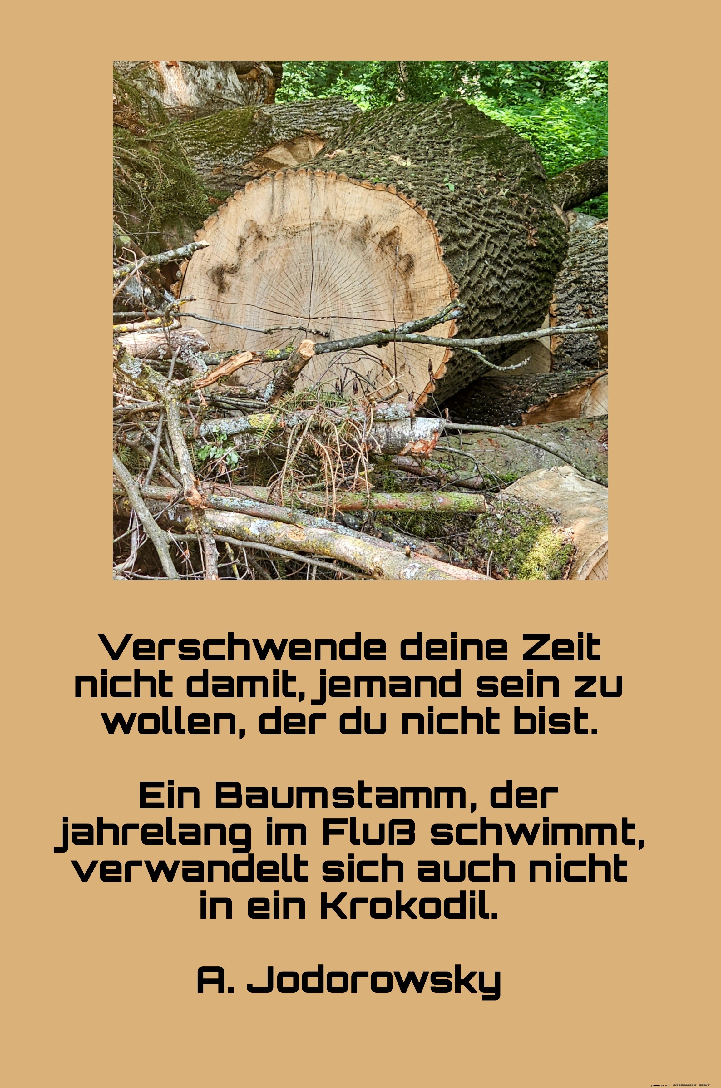 verschwende deine zeit nicht