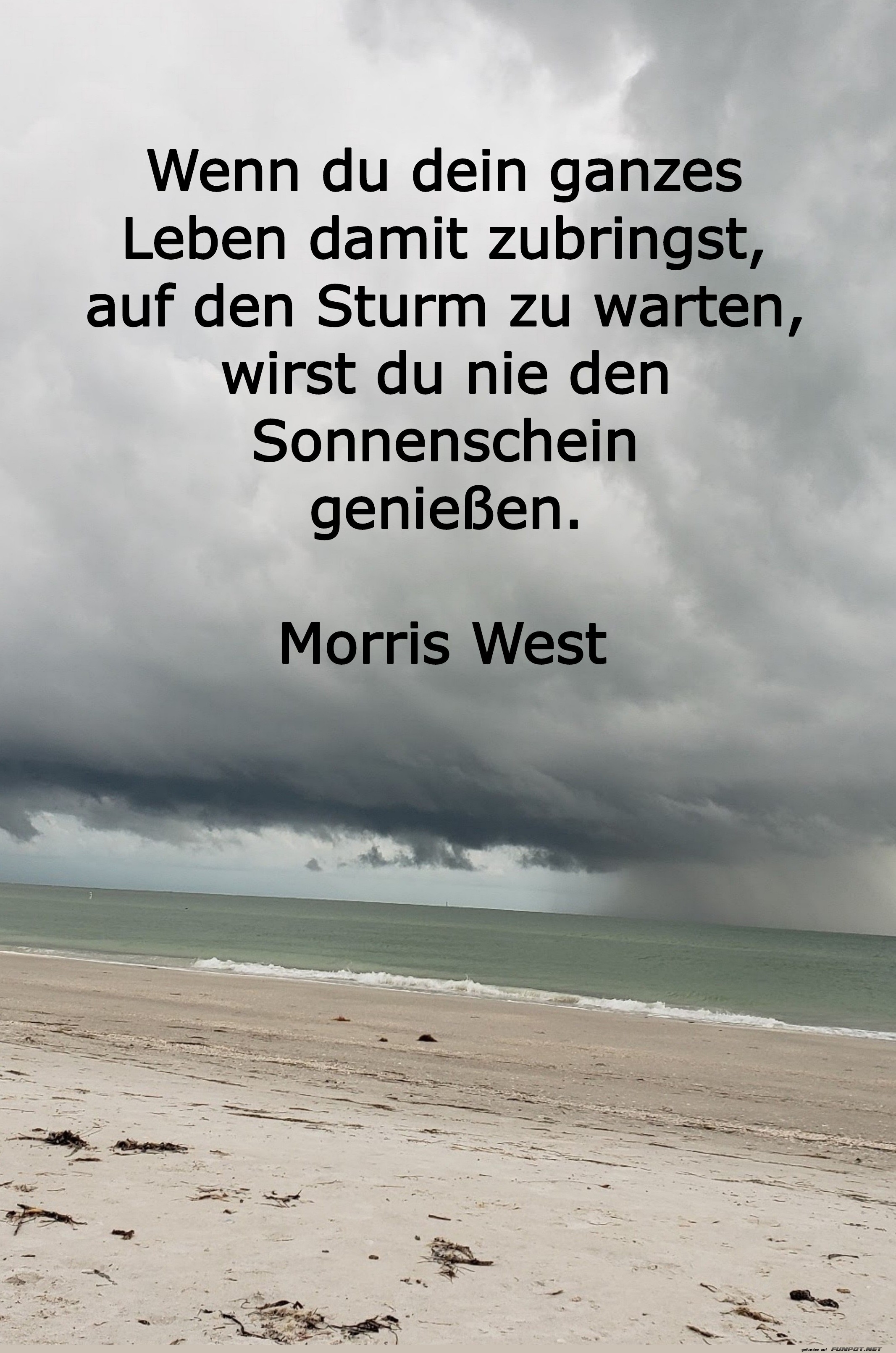 wenn du dein ganzes leben
