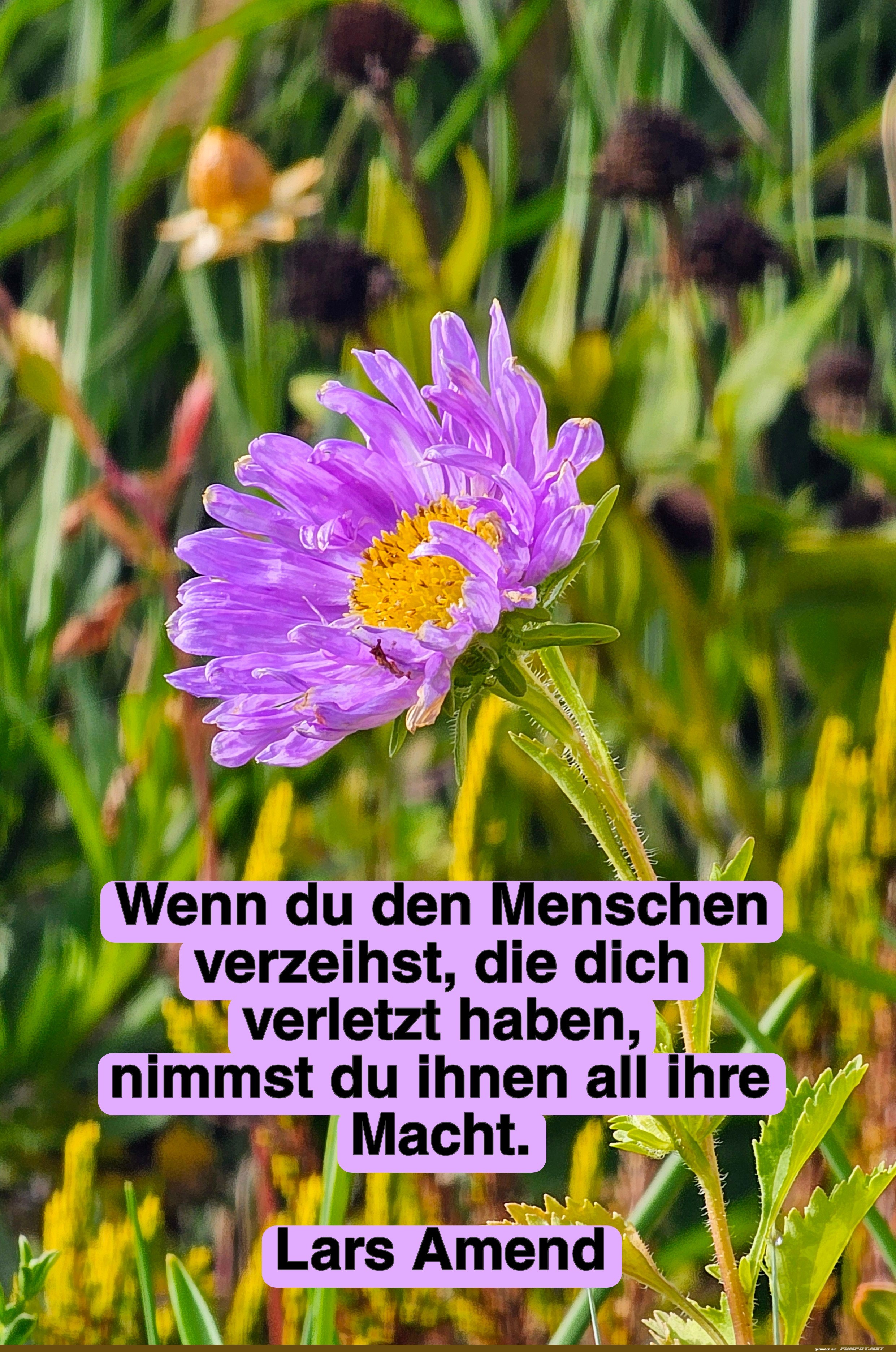 wenn du den menschen