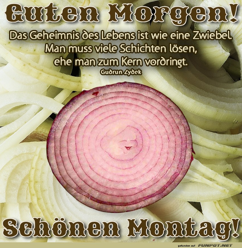 Zwiebel-Montag: Vorhang auf für die Woche! Zwiebel-Montag: Vorhang auf für die Woche!