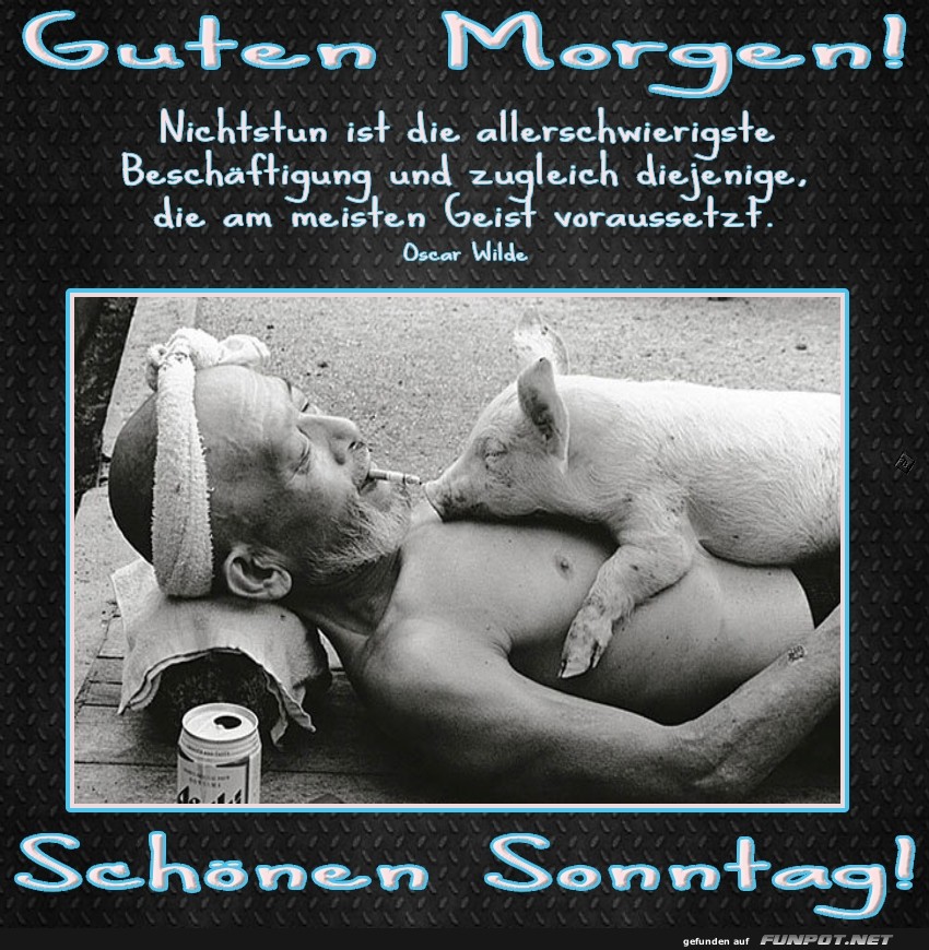 Wenn der Schweinehund real wird! Wenn der Schweinehund real wird!