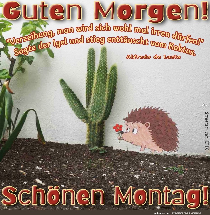 Igel trifft Kaktus: Montag berraschend stachelig