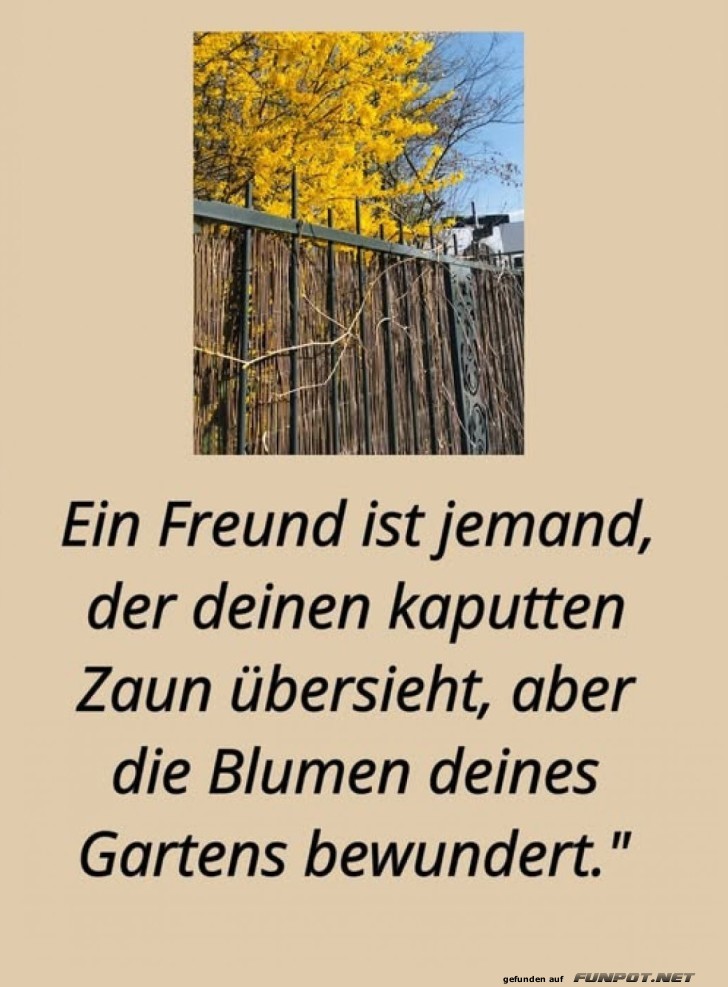 Freundschaft hlt keinen Zaun auf