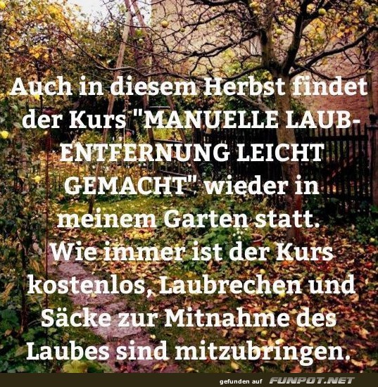 Herbst-Abenteuer: Laubentfernung 101