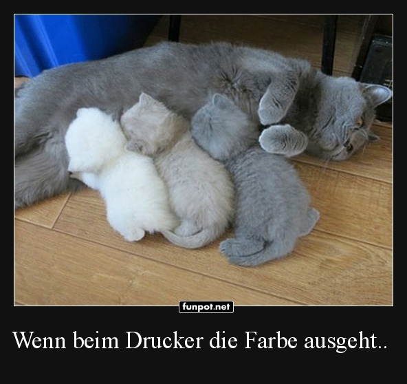 Katzenkopierer mit leerem Farbbehlter