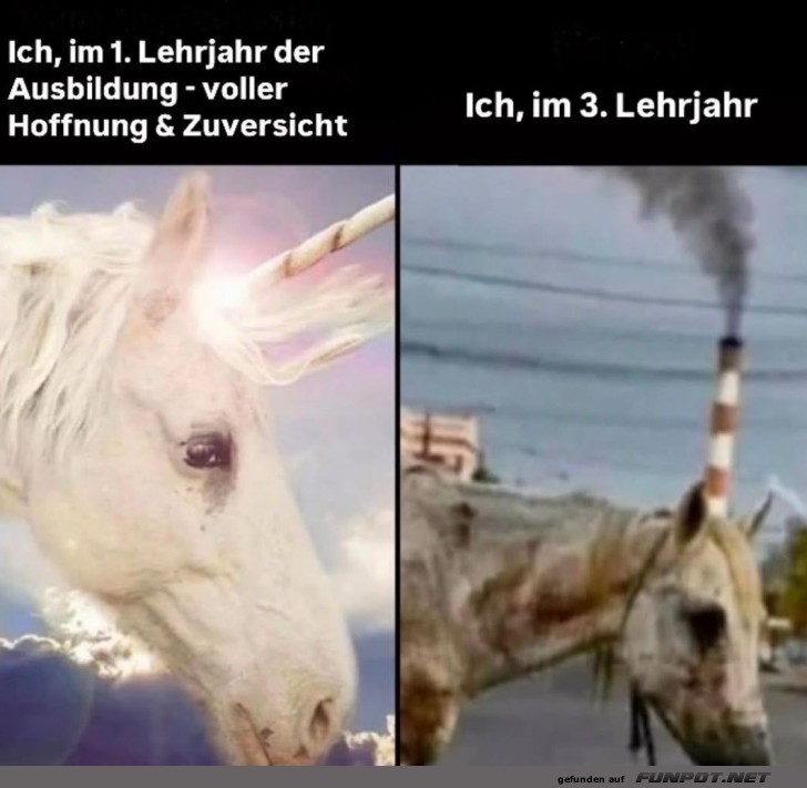 Vom Zauber-Einhorn zum rauchenden Rsslein