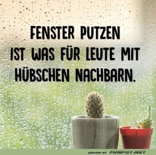 Offene Fensterpolitik der etwas anderen Art