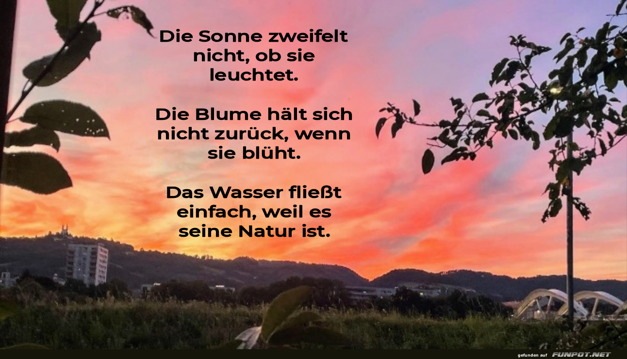 die sonne zweifelt nicht