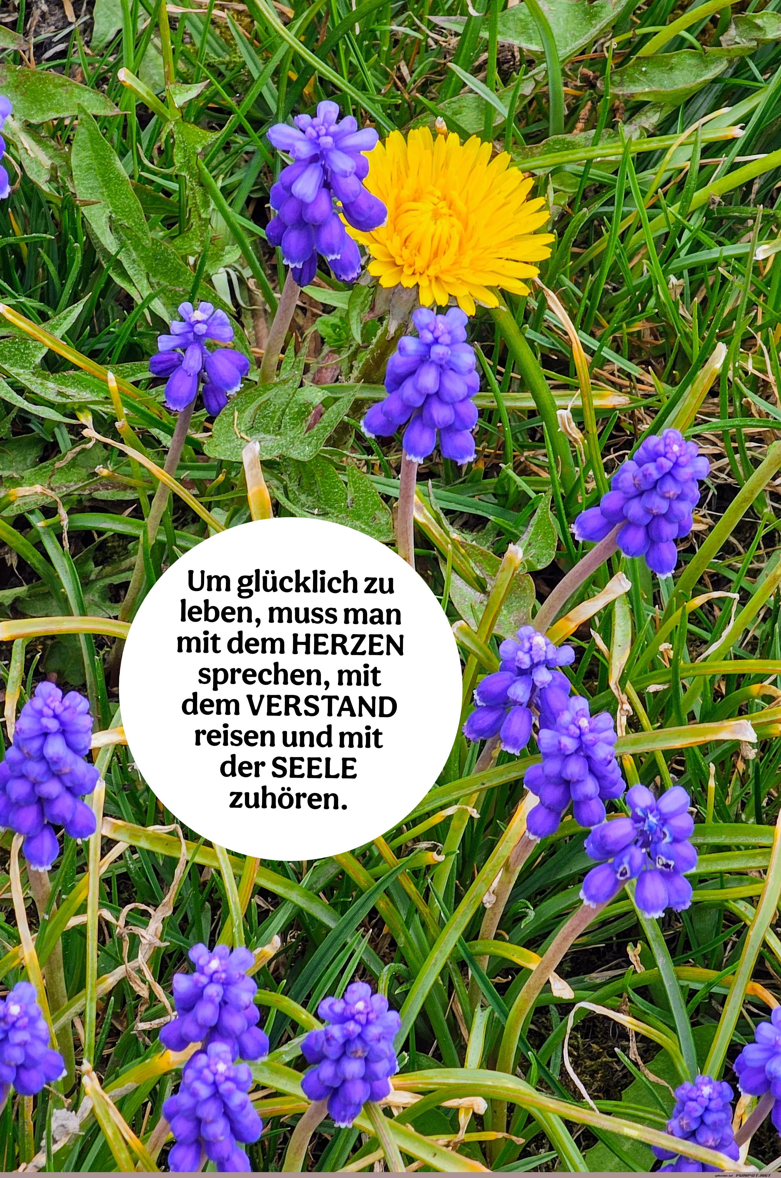 10 schne Sprche und Lebensweisheiten aus...