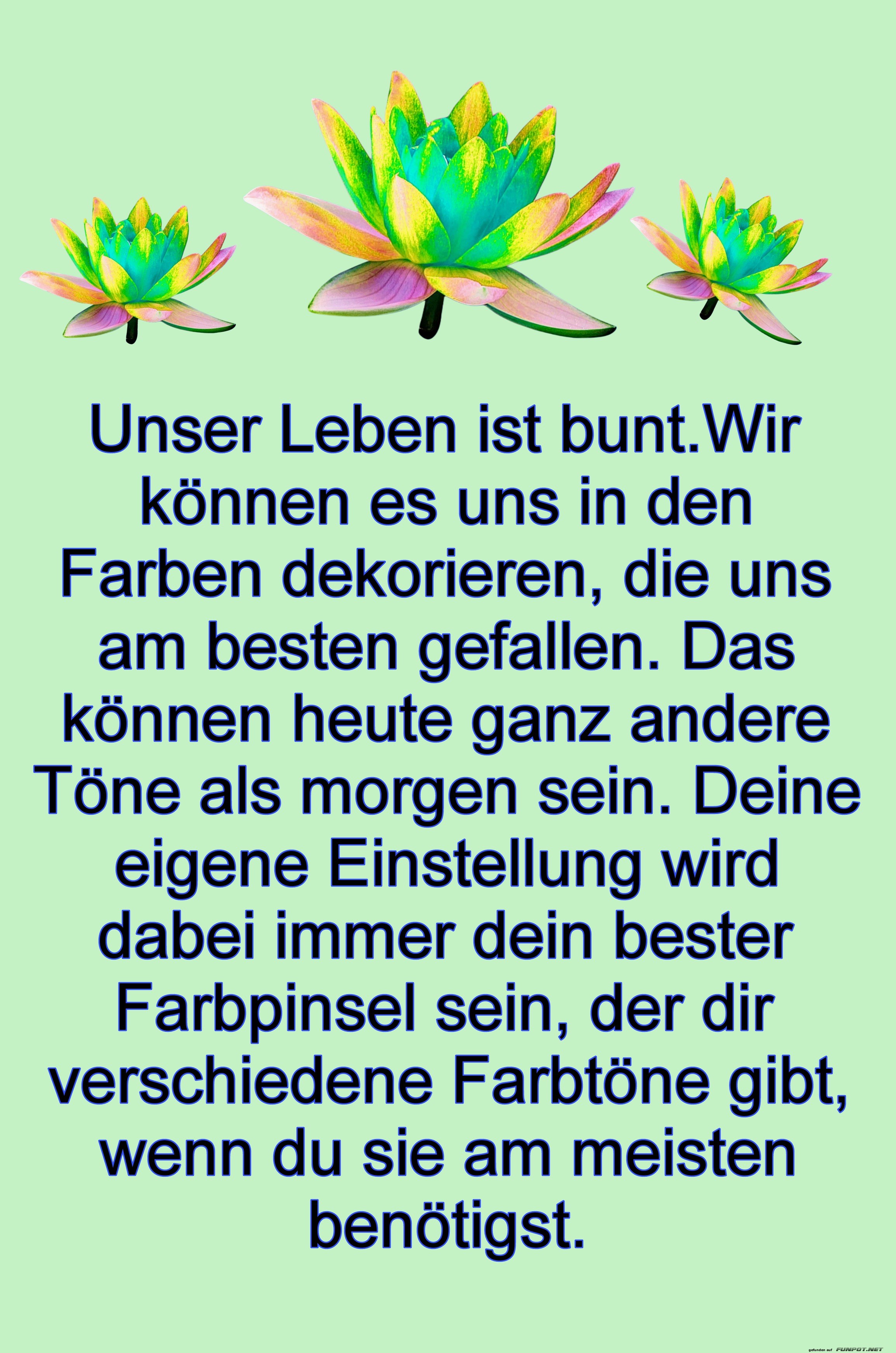 unser leben ist bunt