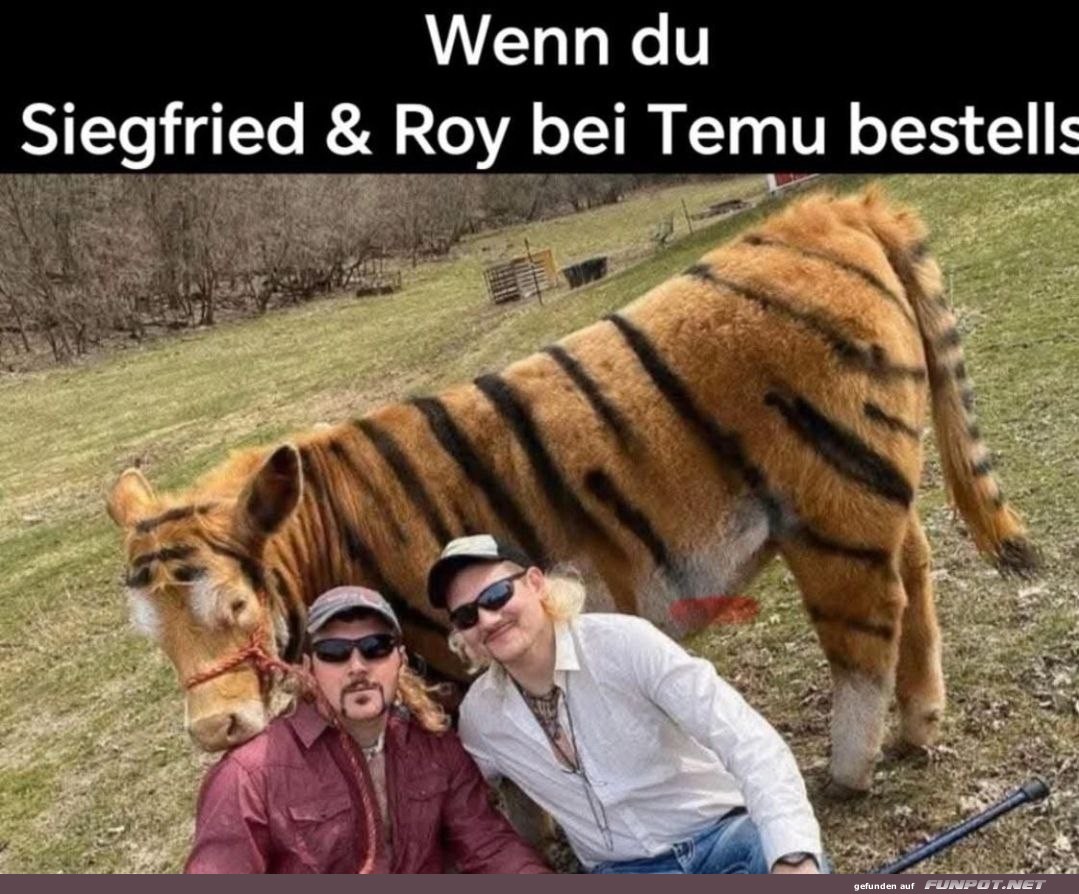 Der Temu-Tiger Fail