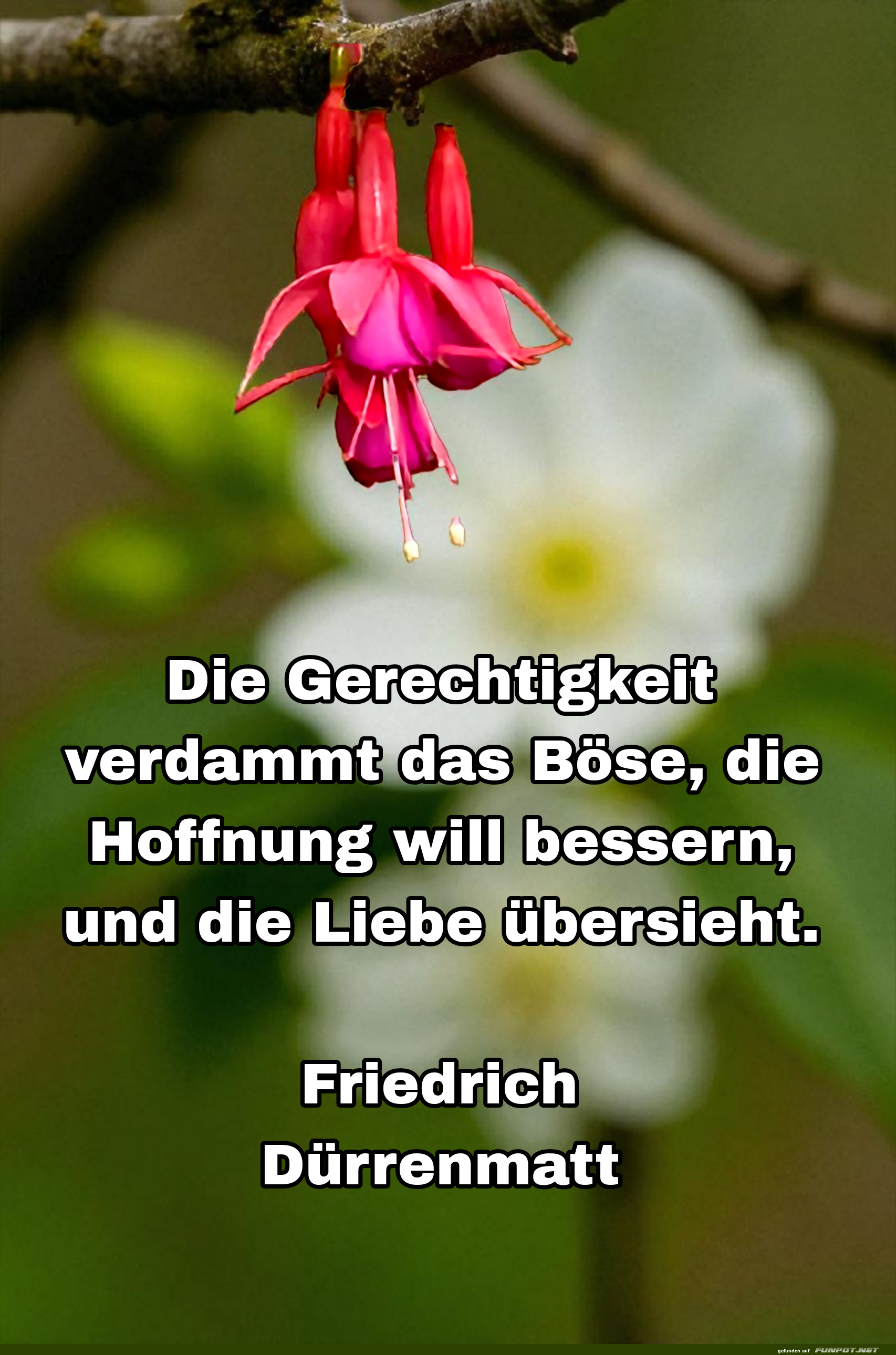 die berechtigkeit verdammt
