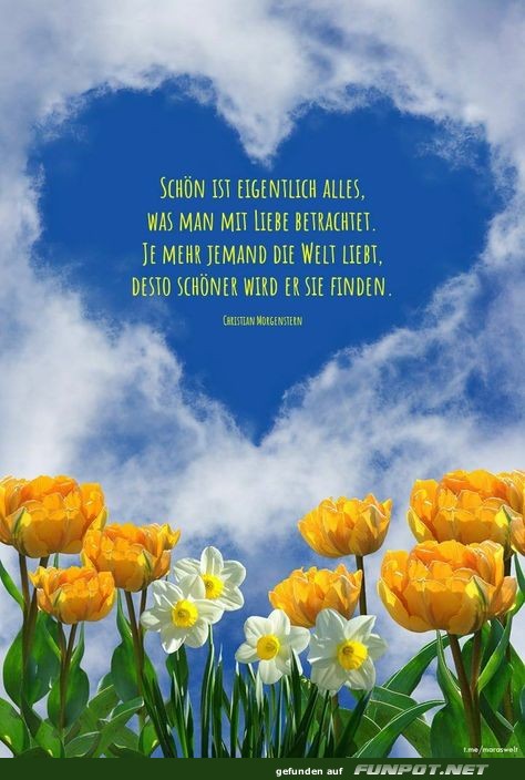 Schn ist alles