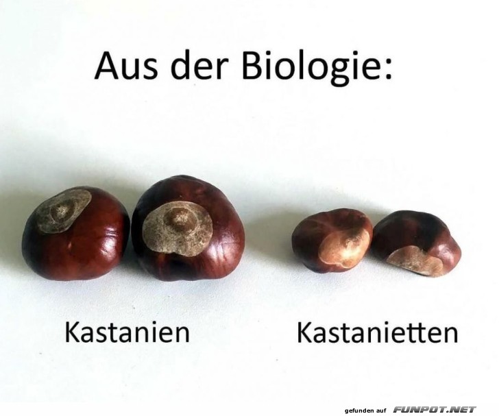 Aus der Biologie