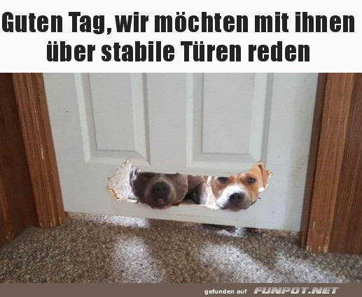 Hunde-Hausbesuch durch DIY-Hundeservice! Hunde-Hausbesuch durch DIY-Hundeservice!