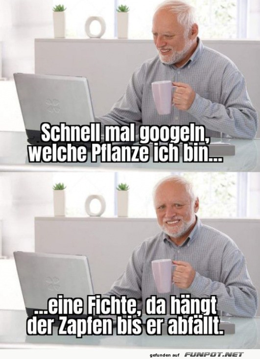 Wenn Opa zum Pflanzendoktor wird Wenn Opa zum Pflanzendoktor wird