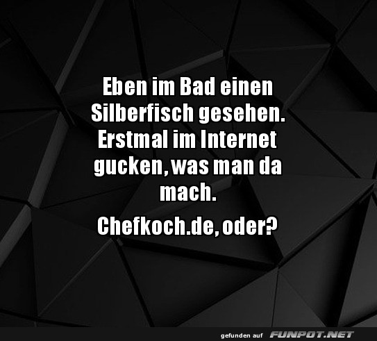 Silberfisch-Schreck im Bad Silberfisch-Schreck im Bad