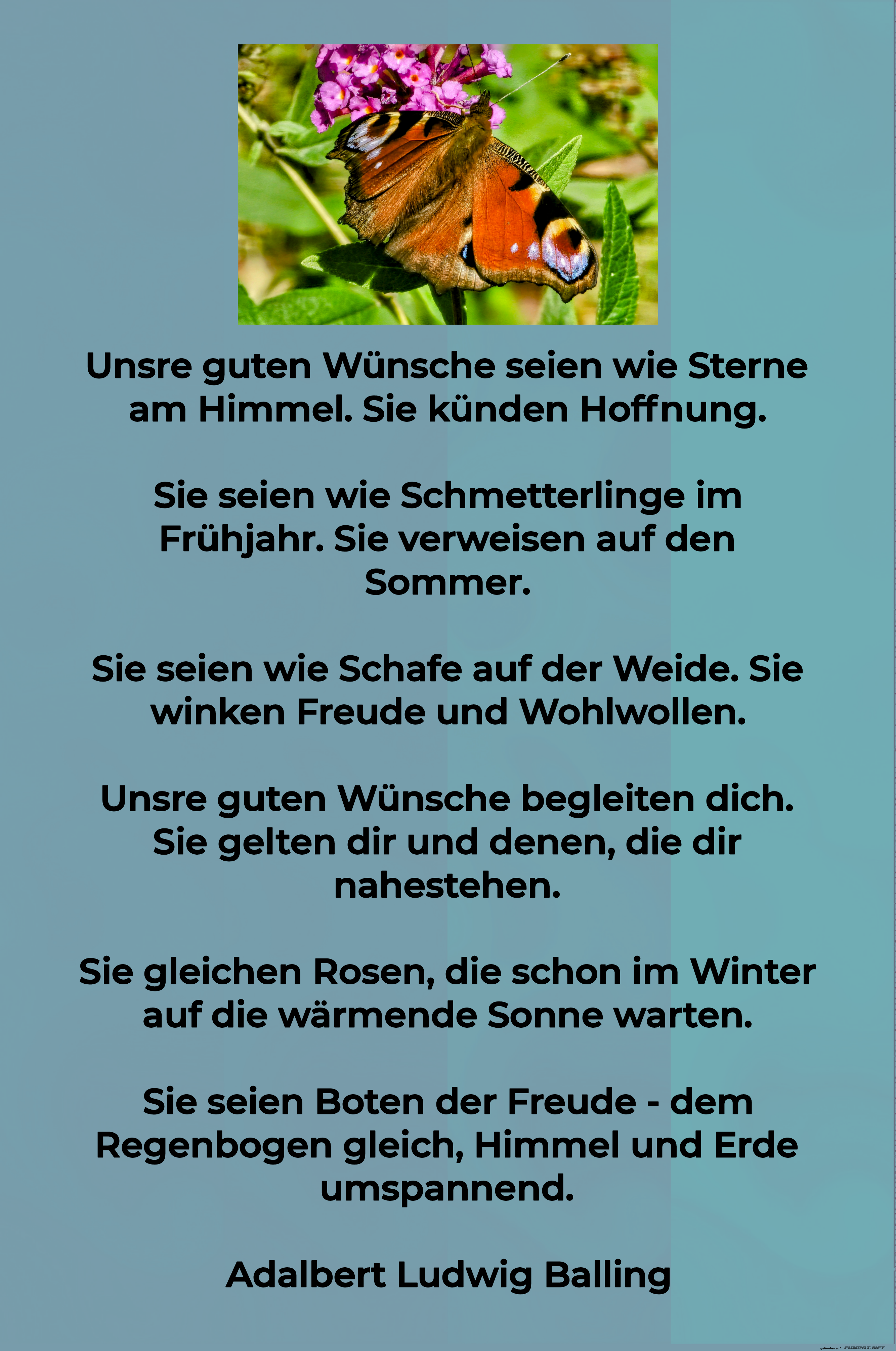 unsere guten wnsche seien wie sterne