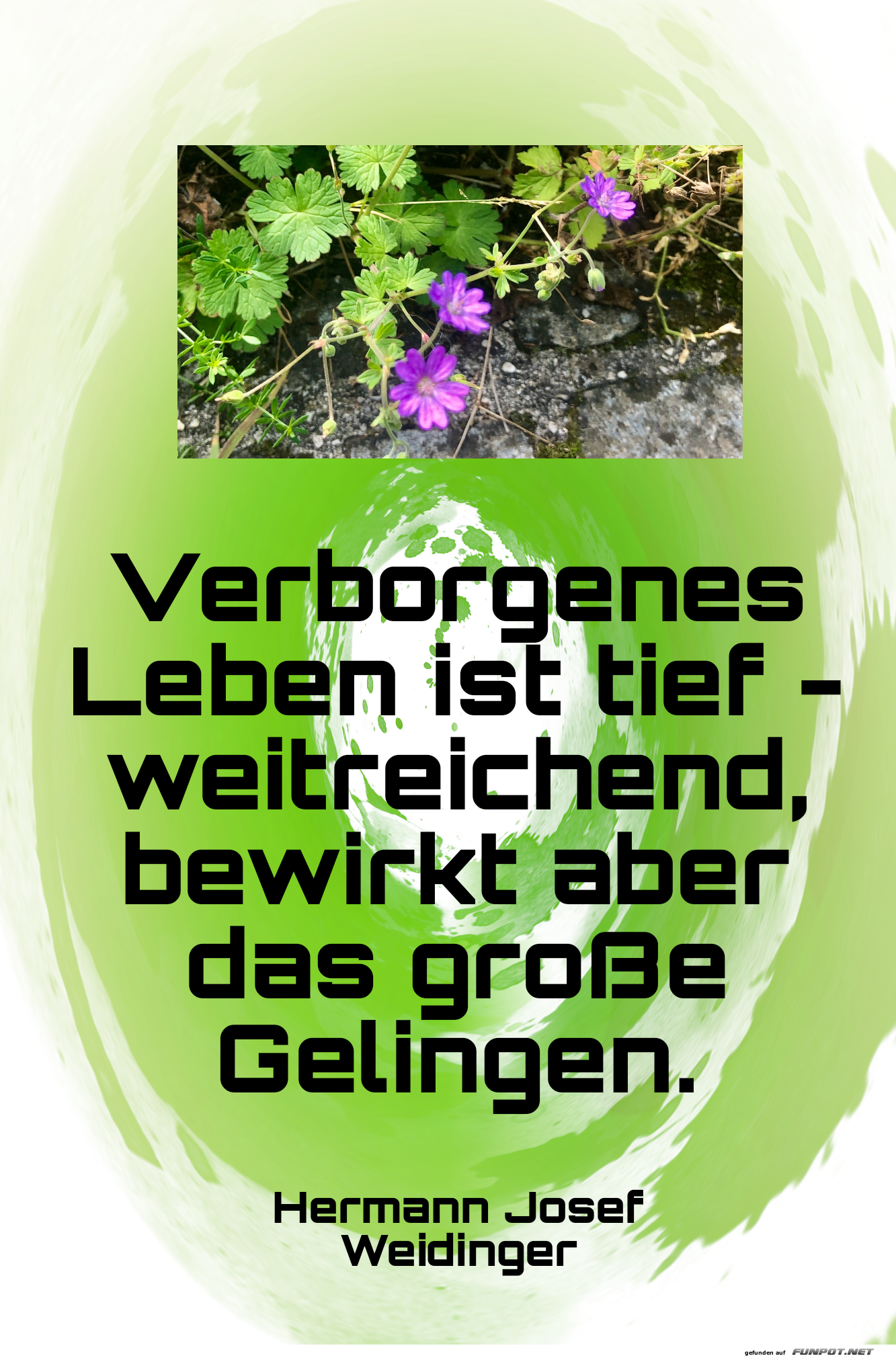 verborgenes leben