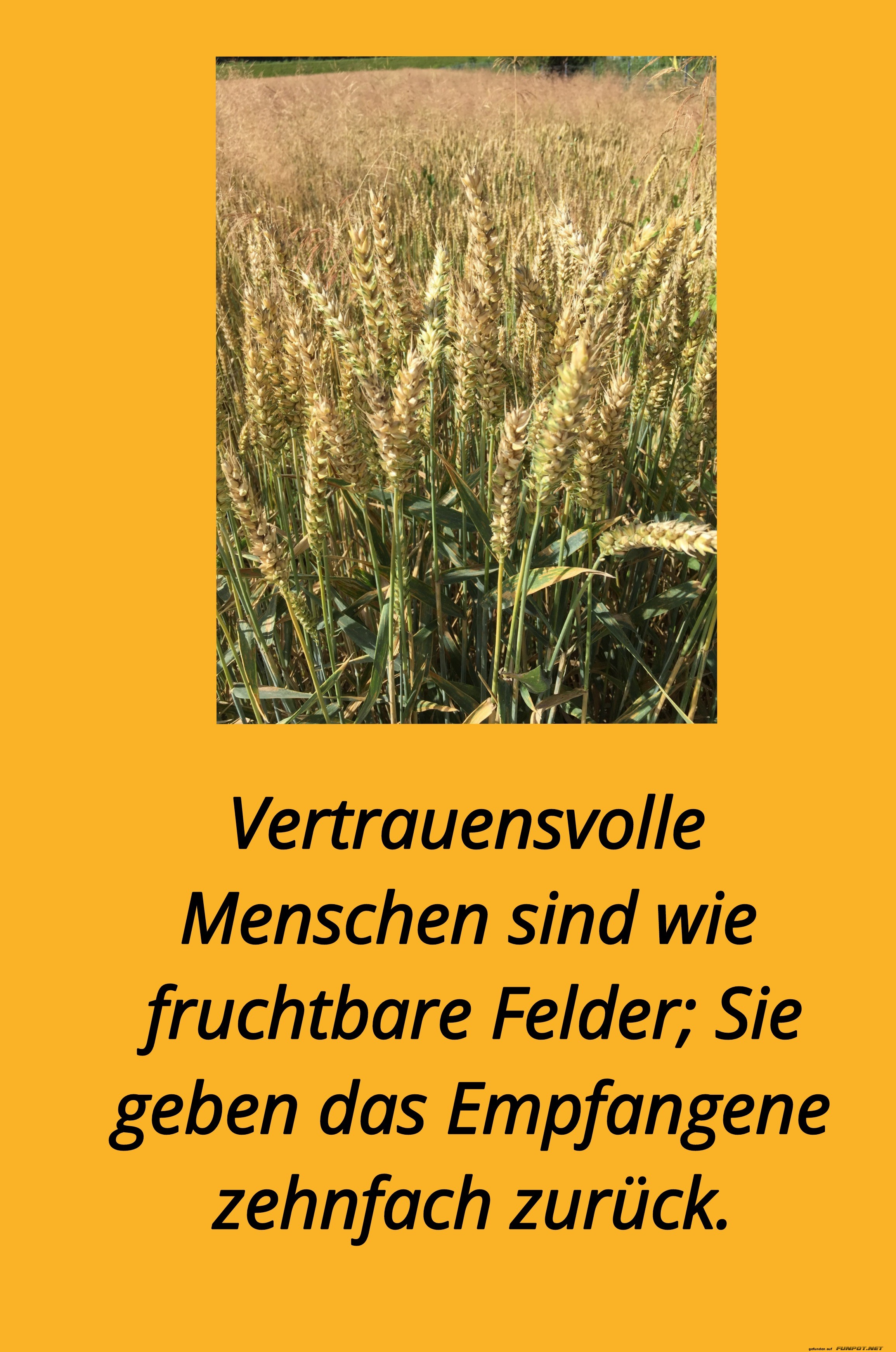 vertrauensvolle menschen sind
