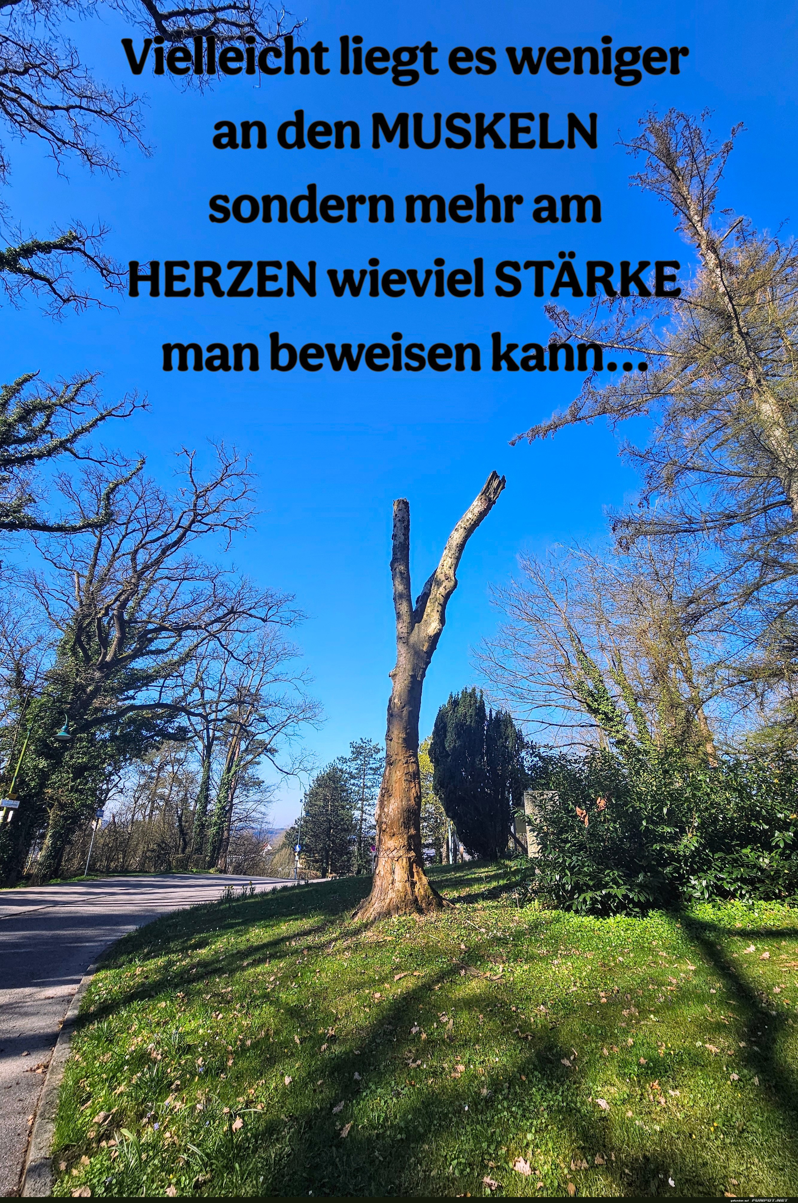 vielleicht liegt es weniger
