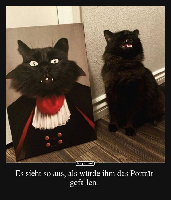 Wenn das Portrt besser aussieht als du!