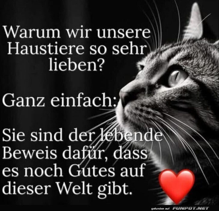 Ein Herz fr Schnurrbart-Trger