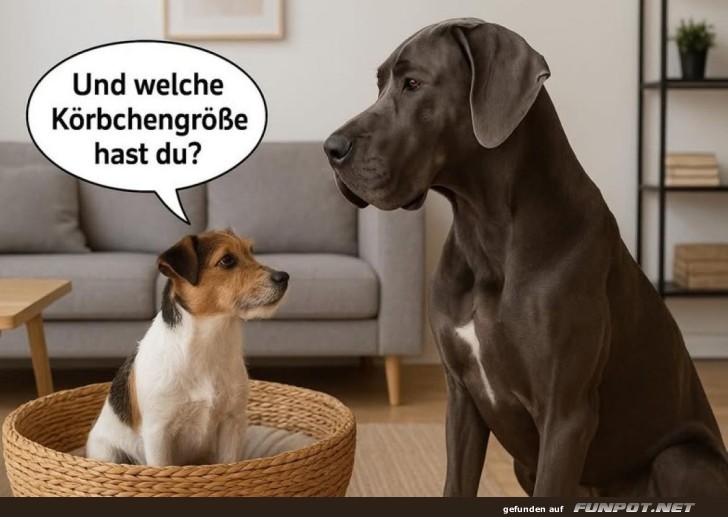 Krbchengren-Debatte unter Hunden!