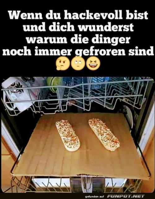 Party-Ofen: Die Tiefkhlpizza Panne!
