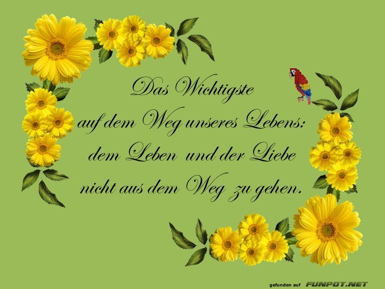 Das wichtigste