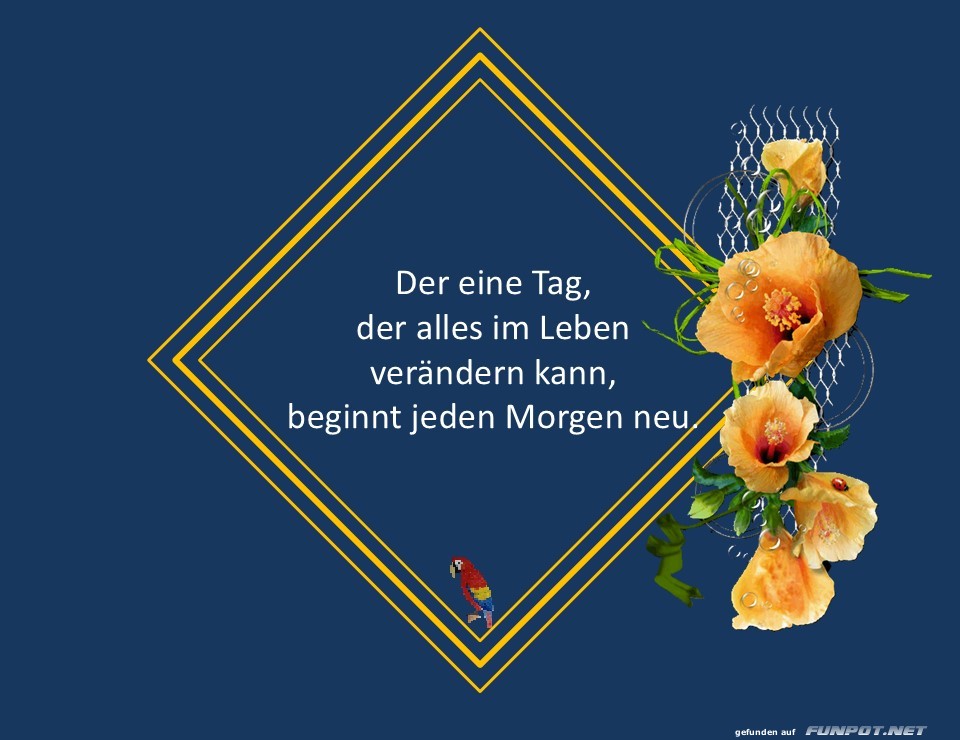 Der eine Tag im Leben