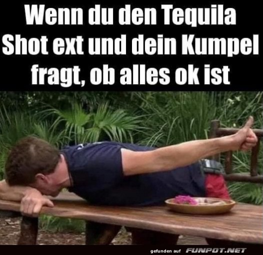 Wenn der letzte Tequila zu hart war Wenn der letzte Tequila zu hart war