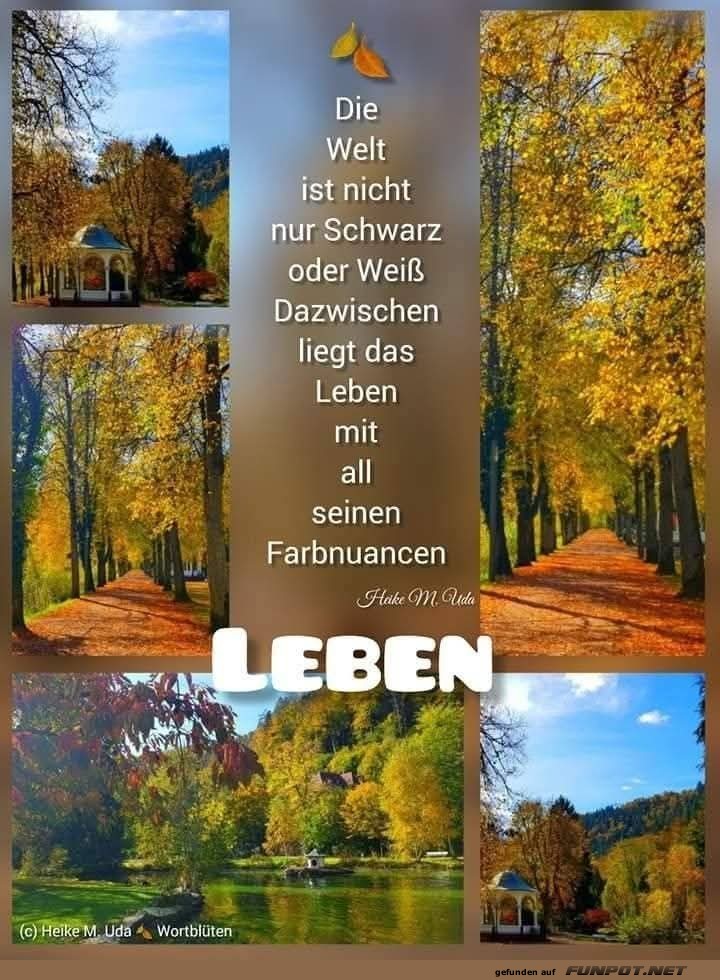 Leben