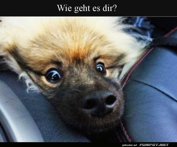 Wenn der Montag zuschlgt!