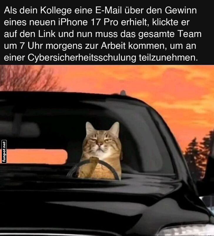 Katzen-Profi auf Cyber-Sicherheitsmission Katzen-Profi auf Cyber-Sicherheitsmission