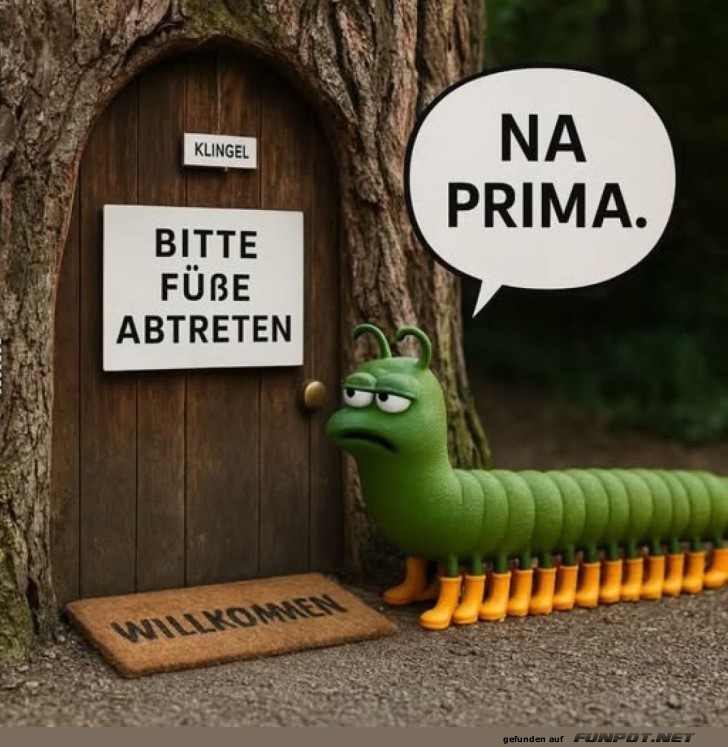 Zentipede und die Fußmattenkrise Zentipede und die Fußmattenkrise