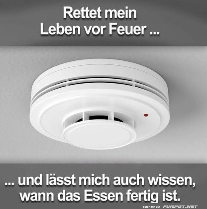 Multifunktionaler Küchentimer entdeckt! Multifunktionaler Küchentimer entdeckt!