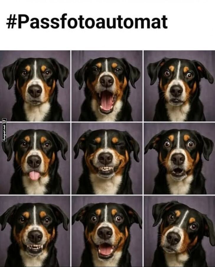 Kommando: Passfoto Modus aktivieren!