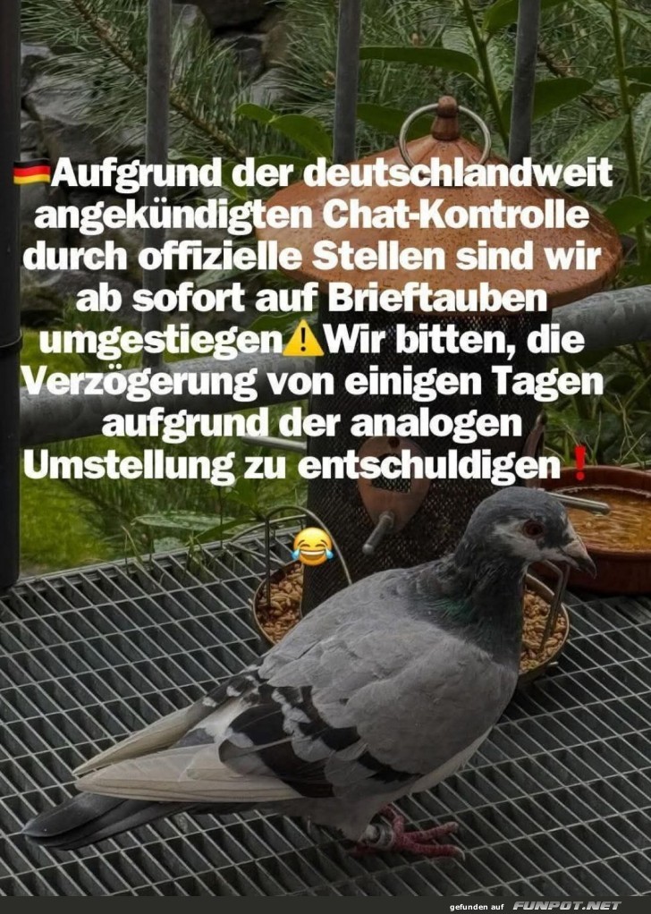 Postgeheimnis 2.0: Brieftauben-Edition Postgeheimnis 2.0: Brieftauben-Edition
