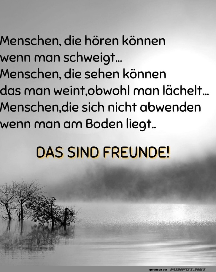 Freundschaft: Schweigen, Sehen, Lächeln! Freundschaft: Schweigen, Sehen, Lächeln!
