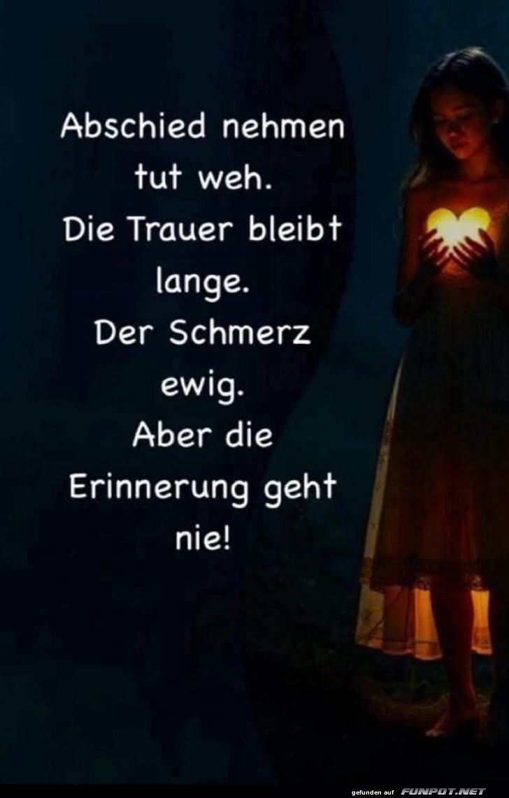 Leuchtendes Herz, ewige Erinnerung Leuchtendes Herz, ewige Erinnerung