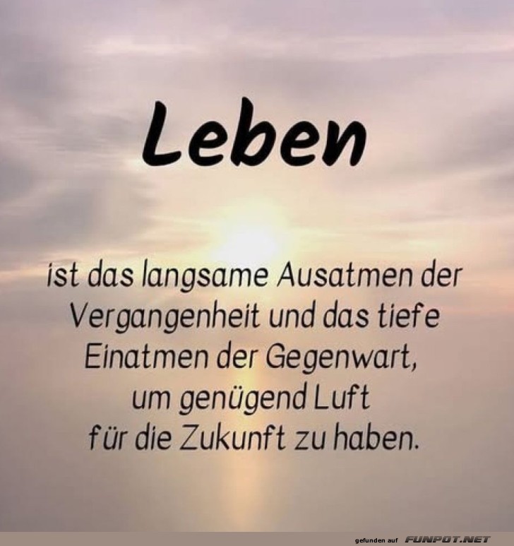 Atempausen für die Zeitreisen Atempausen für die Zeitreisen