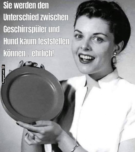 Splmaschine oder Hund?
