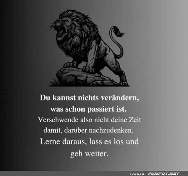 Löwenweisheit für die Seele Löwenweisheit für die Seele