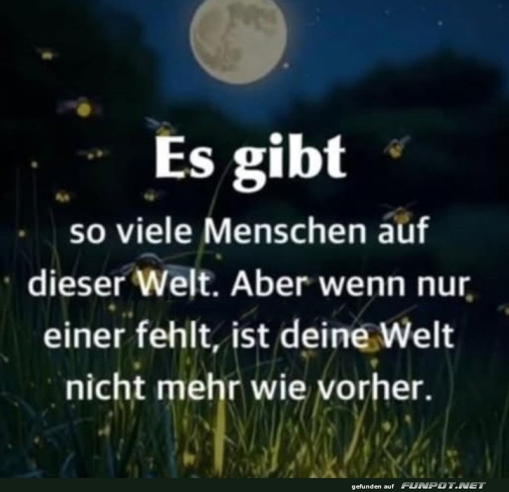 Wenn ein Glühwürmchen fehlt... Wenn ein Glühwürmchen fehlt...