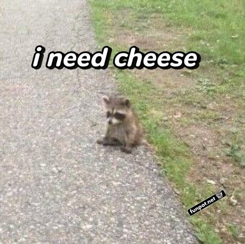 Wenn der Hunger größer als der Mut ist