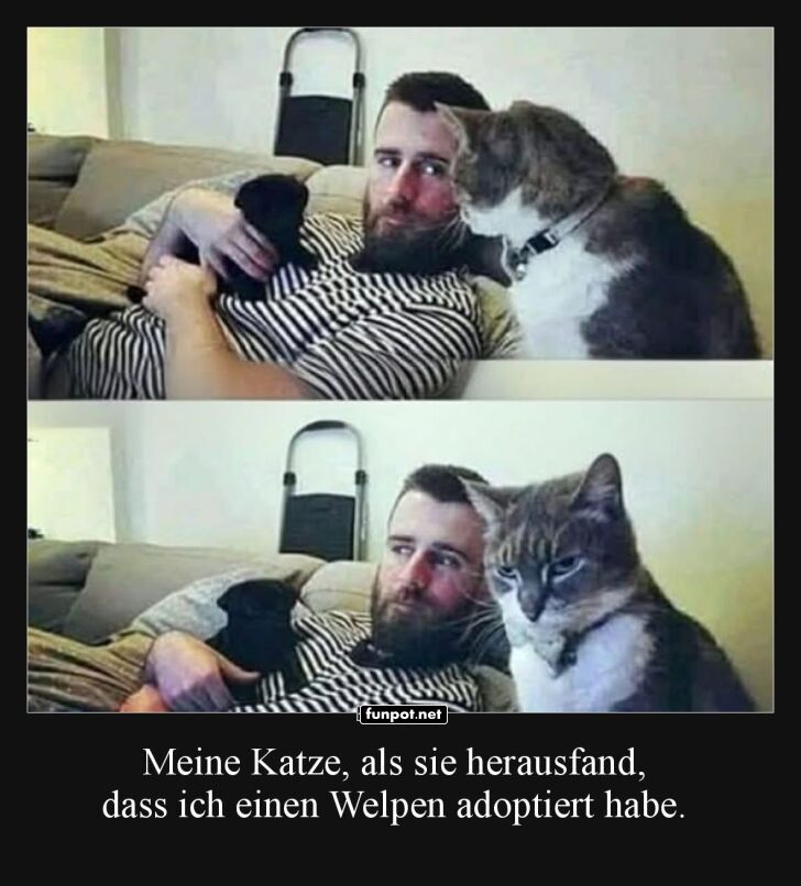 Wenn Blicke Bände sprechen könnten Wenn Blicke Bände sprechen könnten