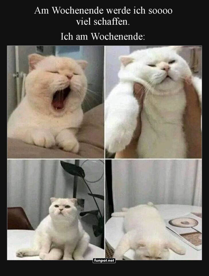 Wochenend-Vorfreude vs. Realitt